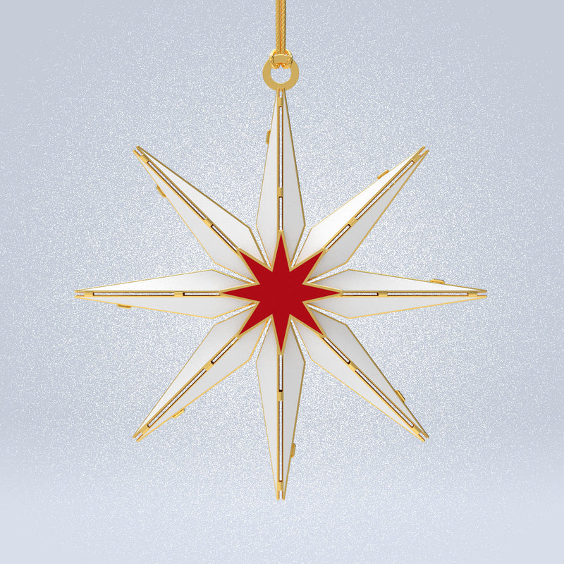 The Starlight Star